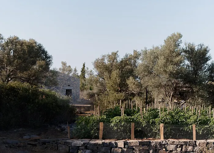 Hotel Village Heights 5*