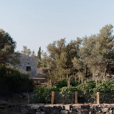 호텔 Village Heights 5*