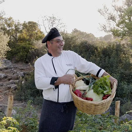 Hotell Village Heights Hersonissos (Crete)