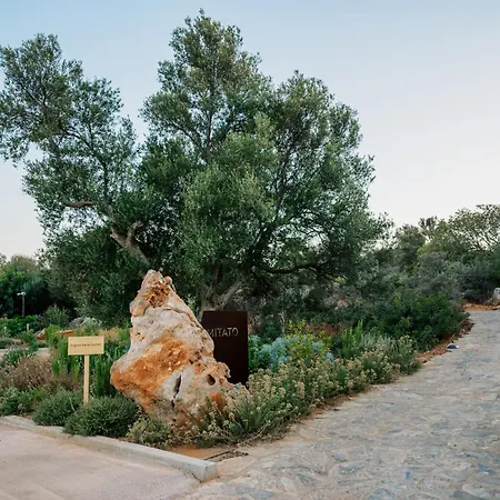 Hotel Village Heights 5*