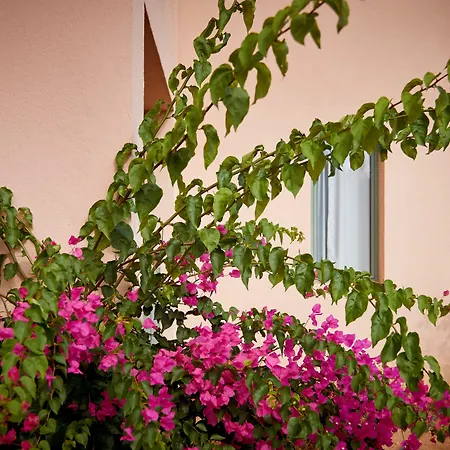 فندق Village Heights