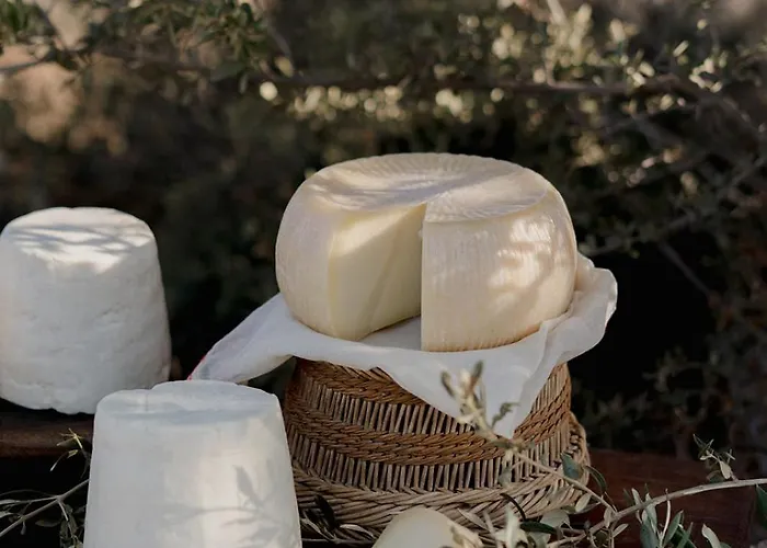 Hotel Village Heights