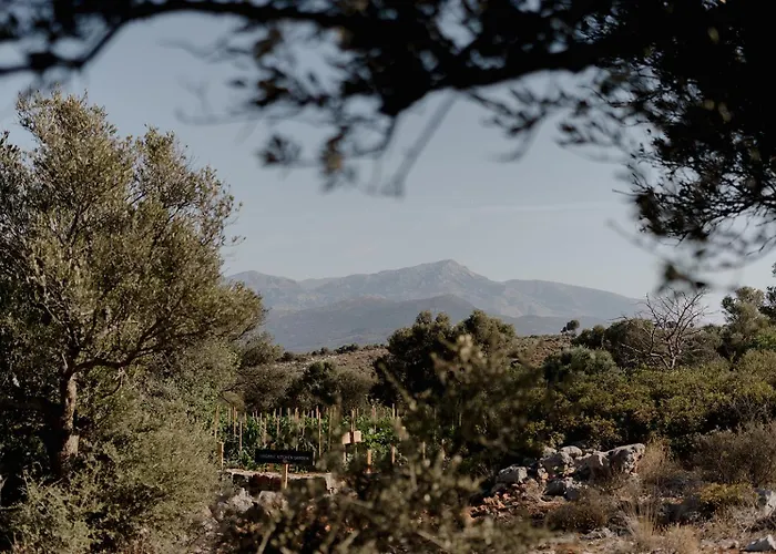 Hotel Village Heights Hersonissos (Crete)