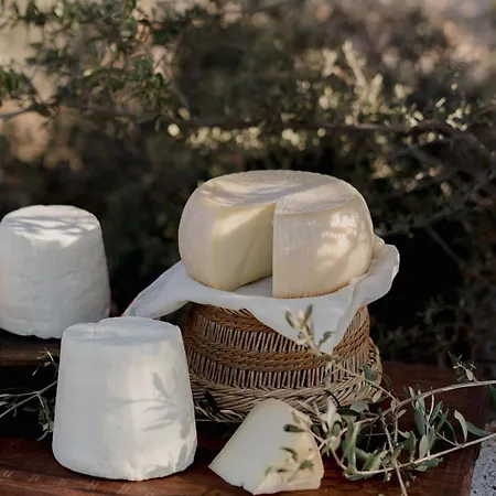 Hotel Village Heights