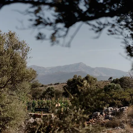 Hotel Village Heights Hersonissos (Crete)