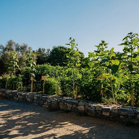 Village Heights Hotel Hersonissos (Crete)