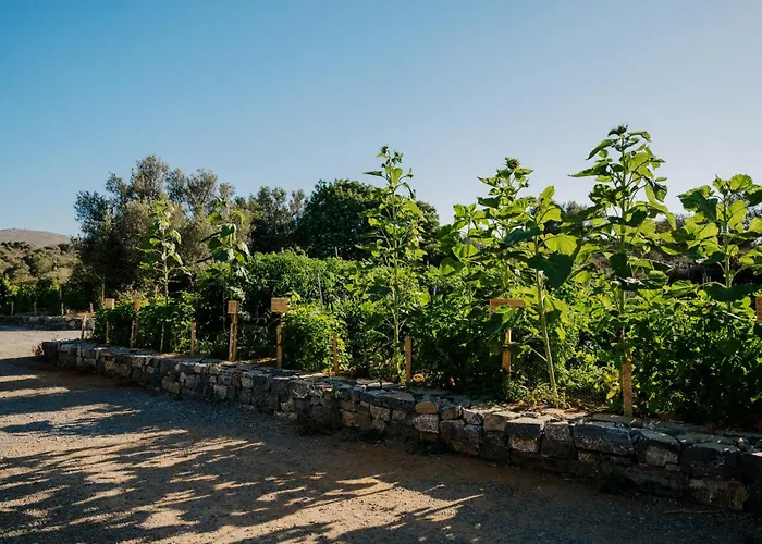 Village Heights Hotel Hersonissos (Crete)