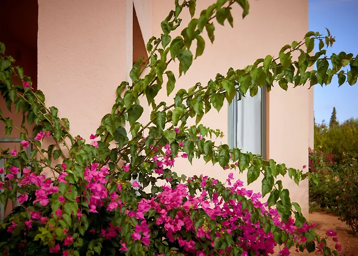 Hotel Village Heights